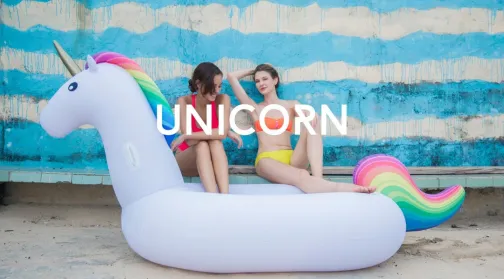 Inflatable Unicon 1 slide_1_image
