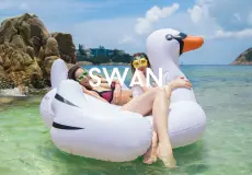 Inflatable Inflatable Swang 1 slide_4_image_1